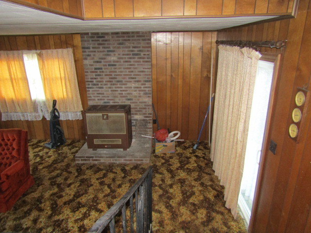 423 3rd Street Rosiclare, IL 62982 - Photo 11 of 28