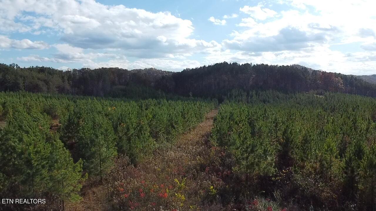 Millsaps Road Vonore, TN 37885 - Photo 9 of 18 2025-11-07-14-24-41-223