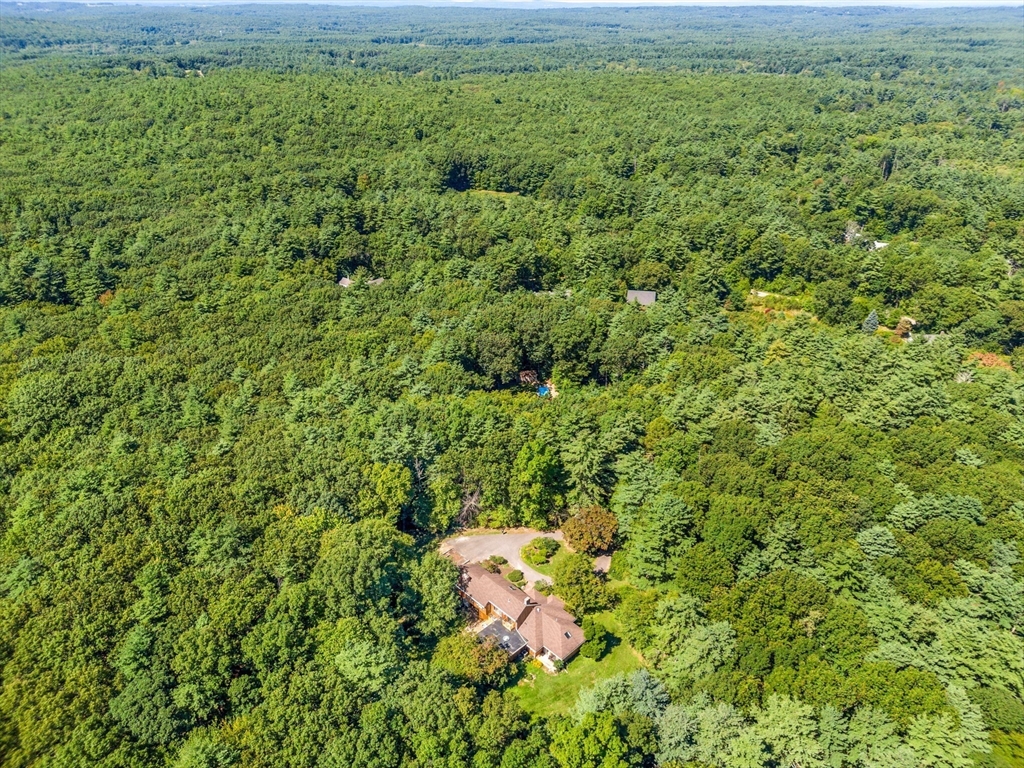 66 Taylor Road Stow, MA 01775 - Photo 35 of 42 a view of a field of grass and trees