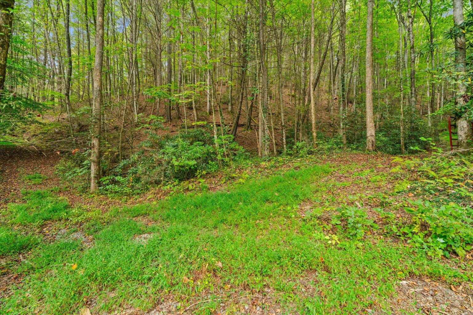 0 Grassy Mountain Road Ellijay, GA 30540 - Photo 14 of 29 13-40