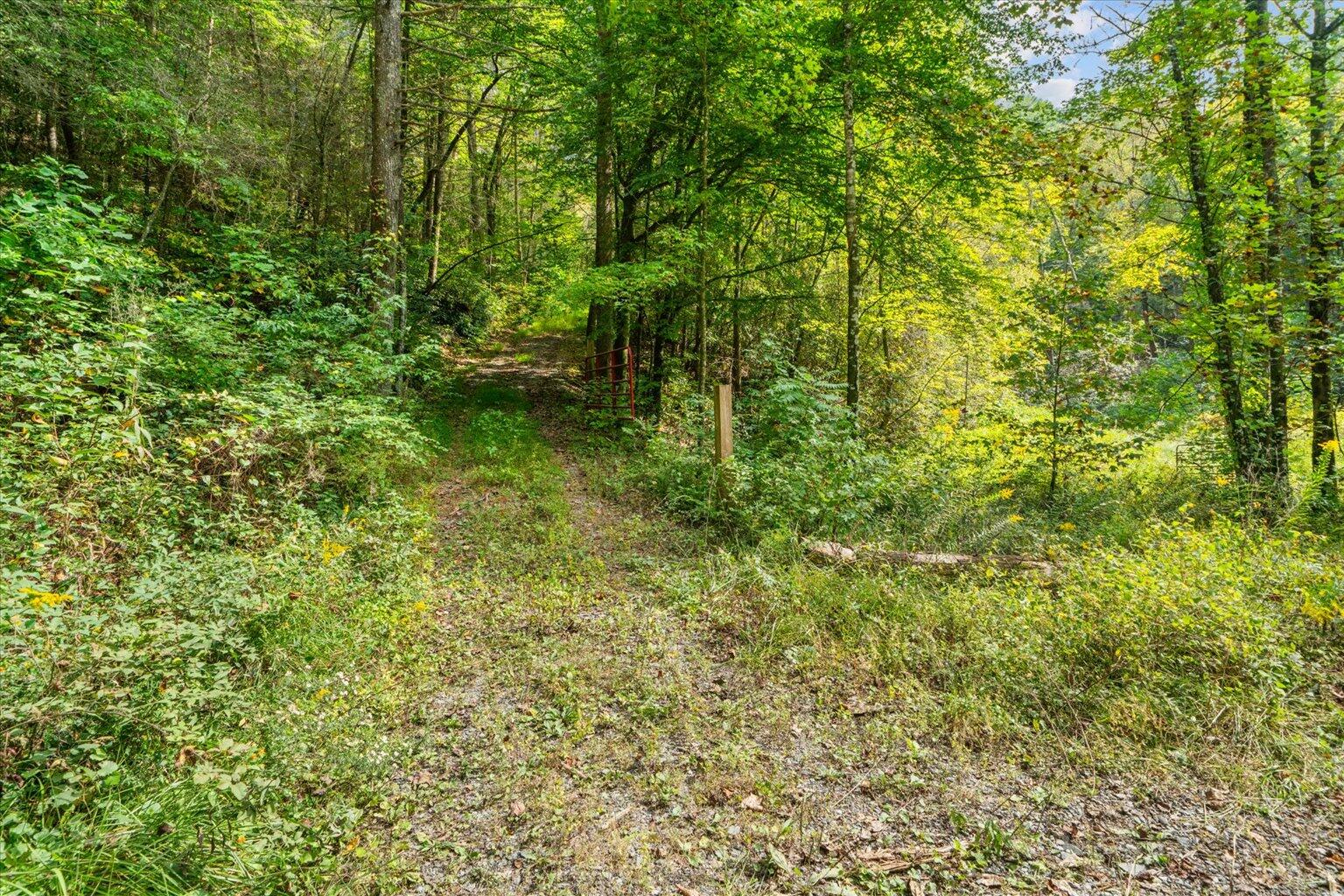 0 Grassy Mountain Road Ellijay, GA 30540 - Photo 16 of 29 15-42