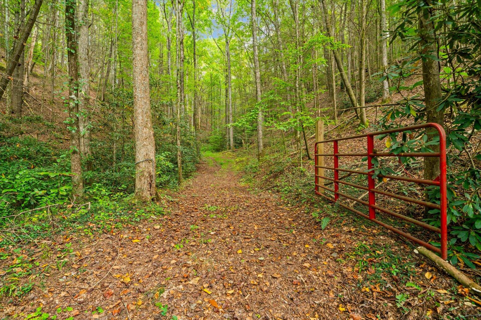 0 Grassy Mountain Road Ellijay, GA 30540 - Photo 17 of 29 16-43