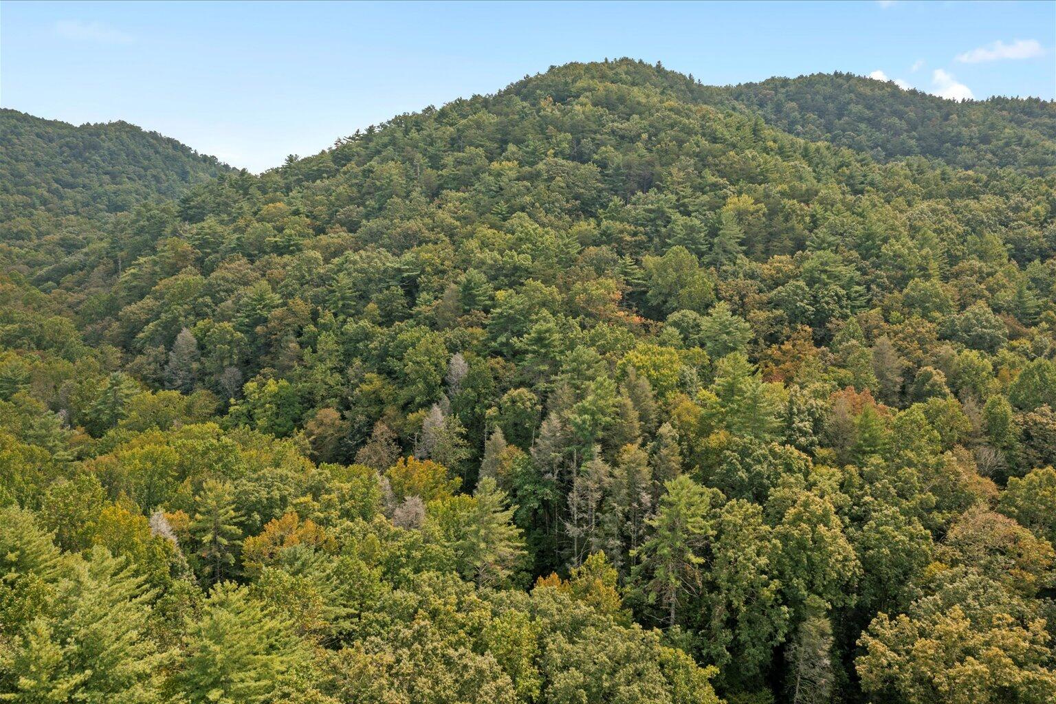 0 Grassy Mountain Road Ellijay, GA 30540 - Photo 3 of 29 04-4