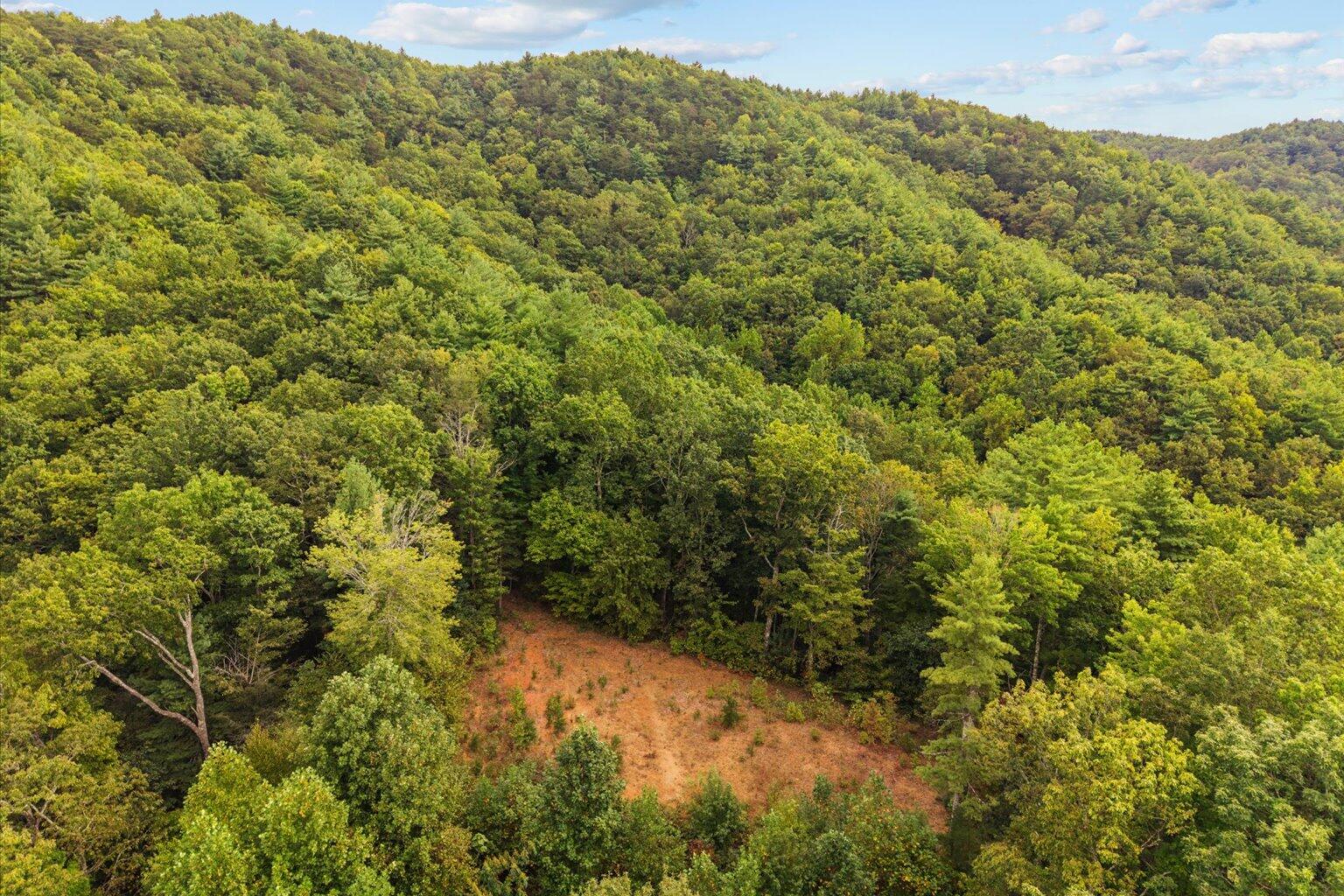 0 Grassy Mountain Road Ellijay, GA 30540 - Photo 5 of 29 05-32