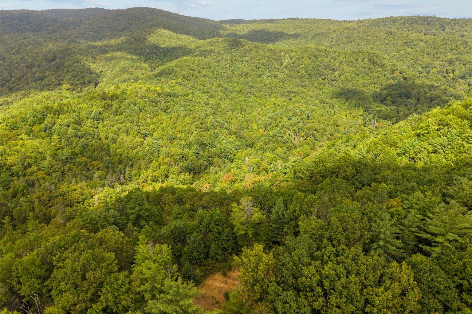 0 Grassy Mountain Road Ellijay, GA 30540 - Photo 10 of 29 09-36
