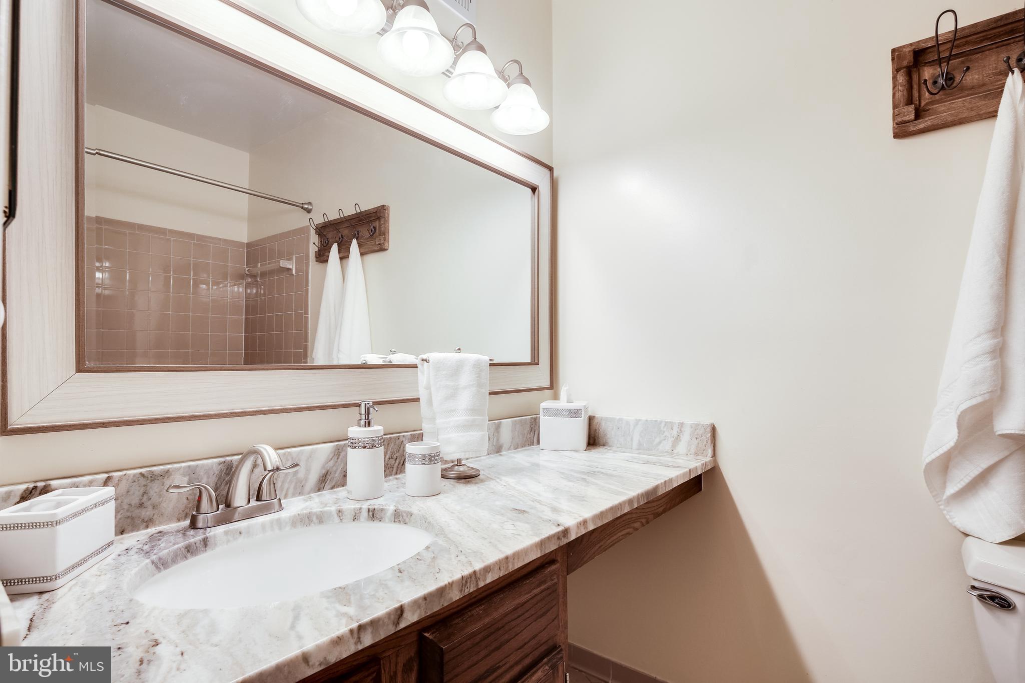 1018 Windrush Lane, Unit 26 Sandy Spring, MD 20860 - Photo 21 of 38 Updated hall bath
