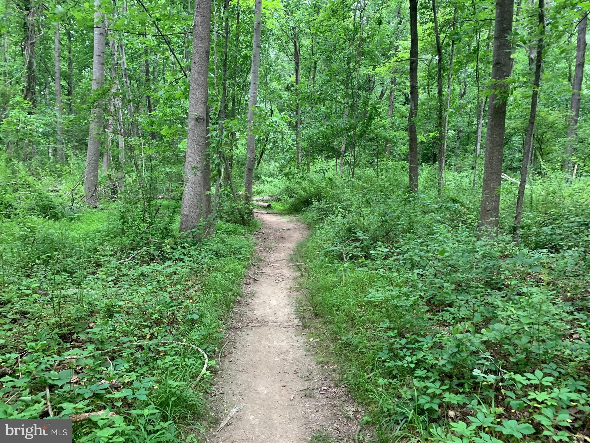 1018 Windrush Lane, Unit 26 Sandy Spring, MD 20860 - Photo 37 of 38 Six miles of walking paths nearby!