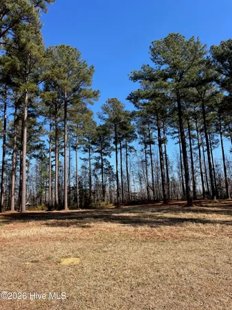 $15,000 | 23 Baldhead Island Court South, Oriental, NC 28571