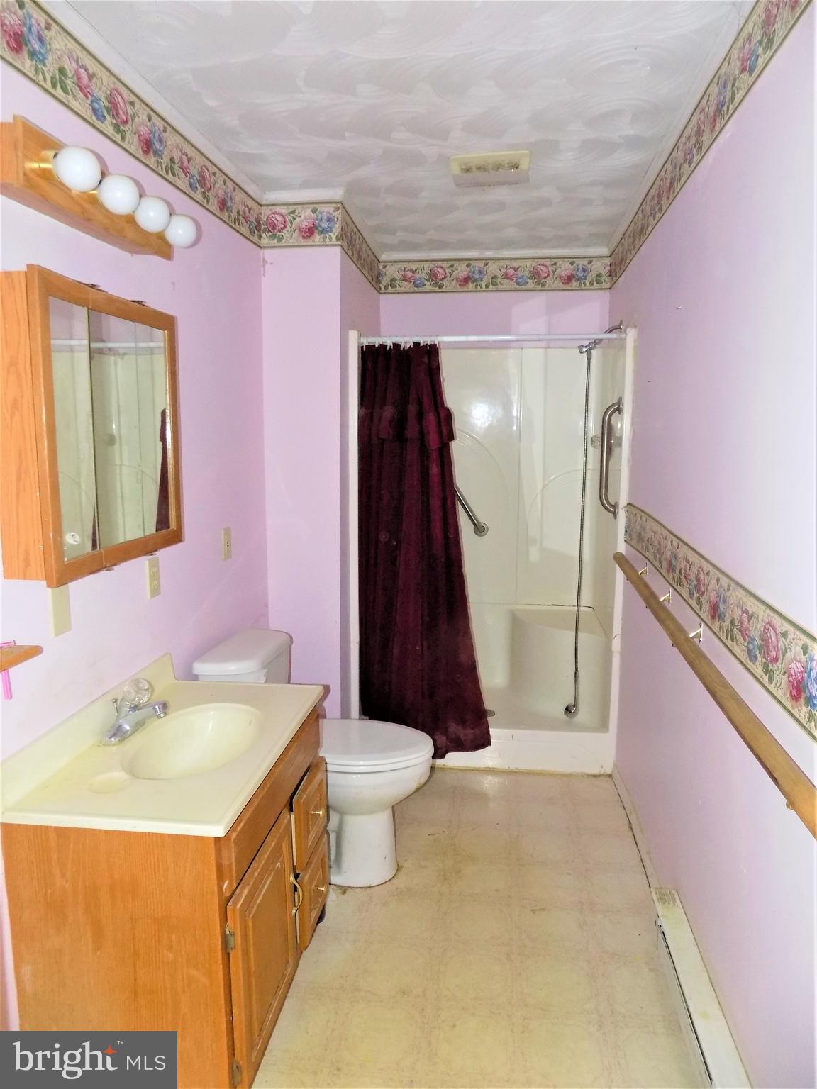 150 Peach Tree Drive Ranson, WV 25438 - Photo 12 of 17 Hall Bathroom