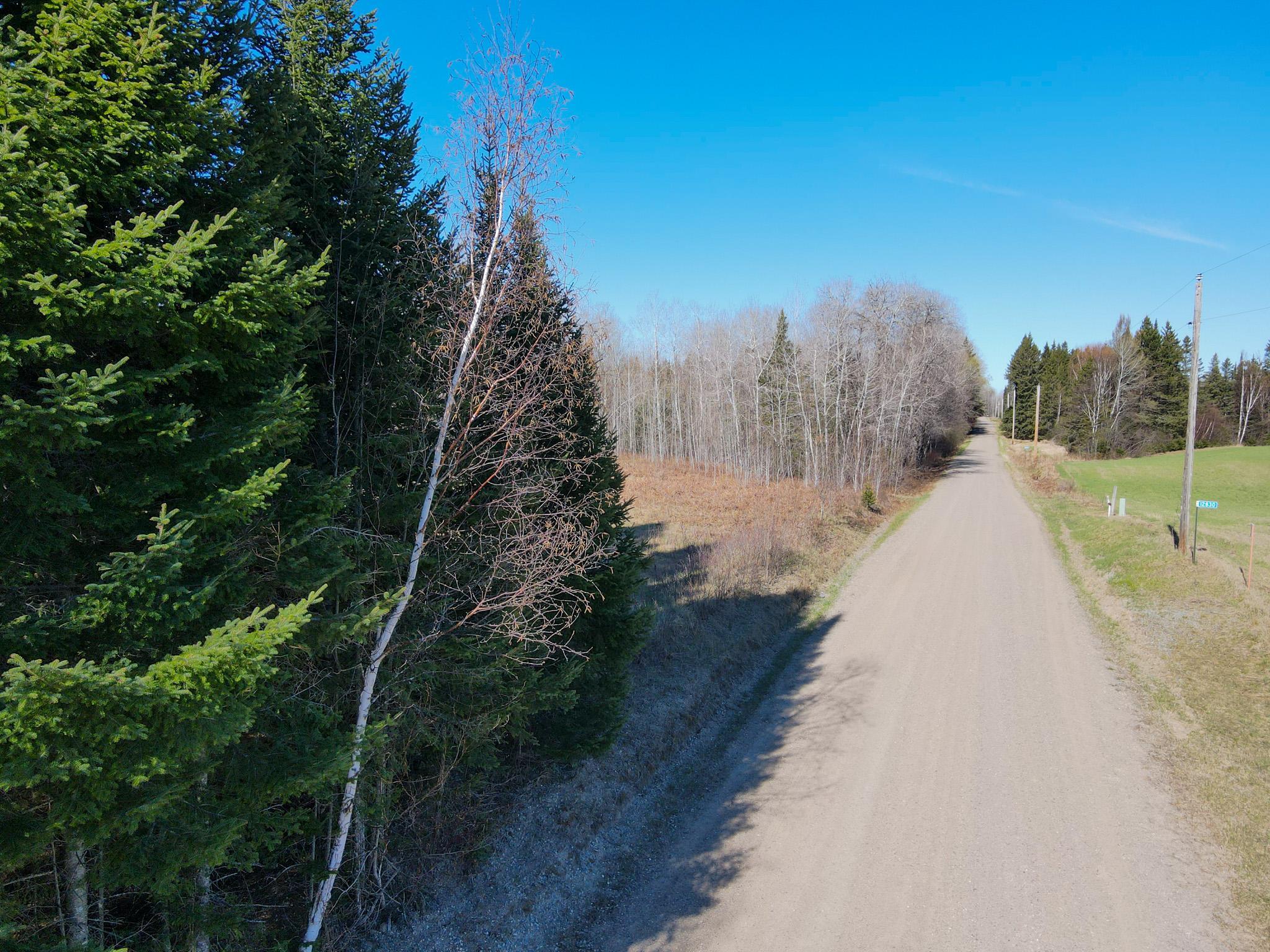 Parcel D Township Road East Floodwood, MN 55736 - Photo 5 of 22