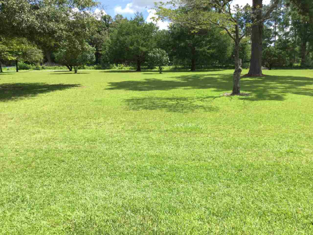 527 Robin Road Monticello, FL 32344 - Photo 4 of 25 Gallery Image 4