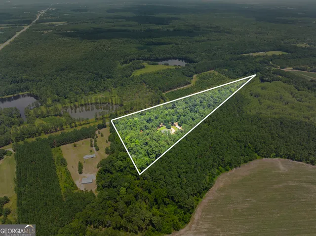 an aerial view of a house with backyard garden and trees