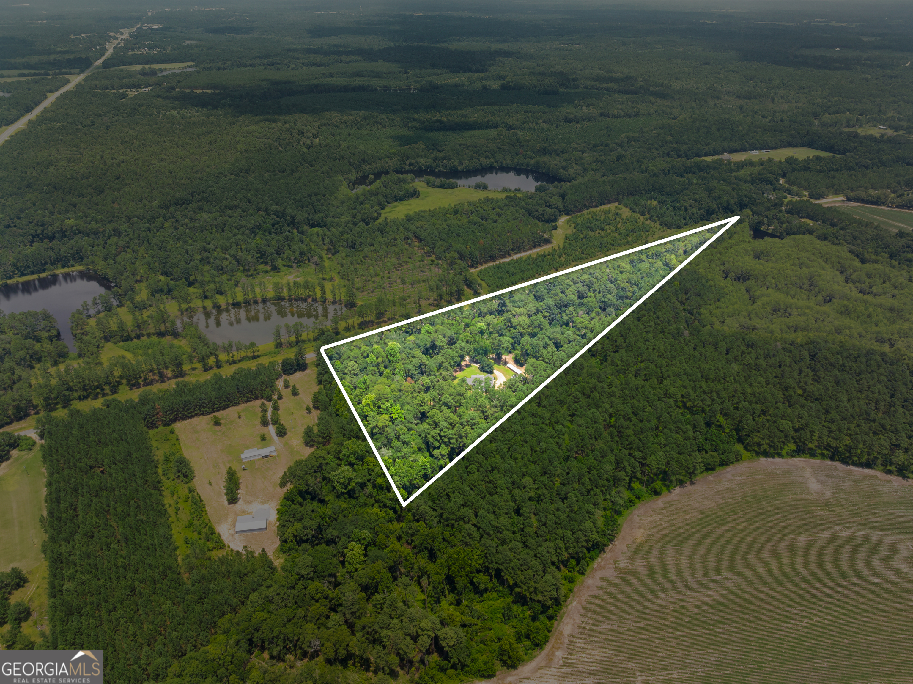 480 Best Bridge Road Sylvania, GA 30467 - Photo 3 of 57