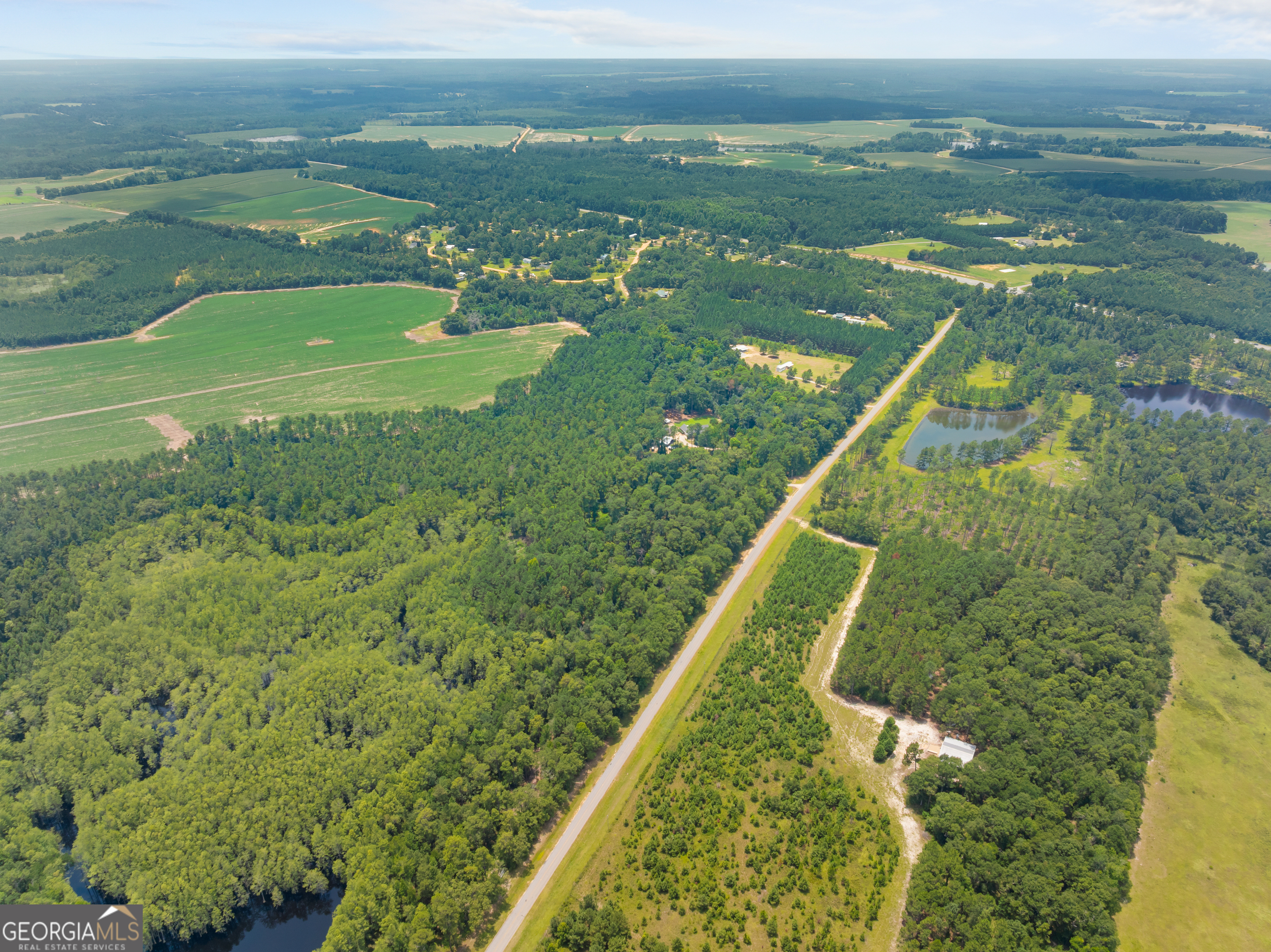 480 Best Bridge Road Sylvania, GA 30467 - Photo 46 of 57 a view of a lake with a mountain