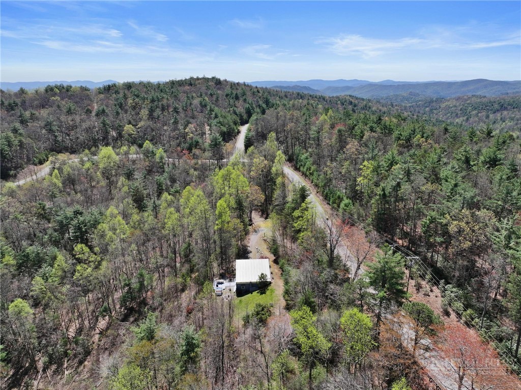 3086 Summit Road Purlear, NC 28665 - Photo 29 of 31