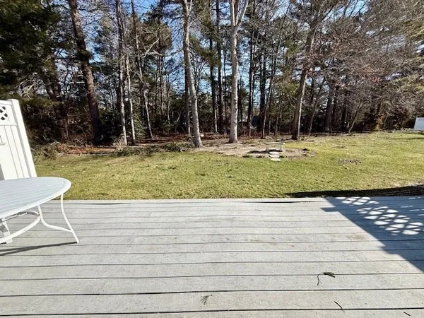 a view of backyard with large trees