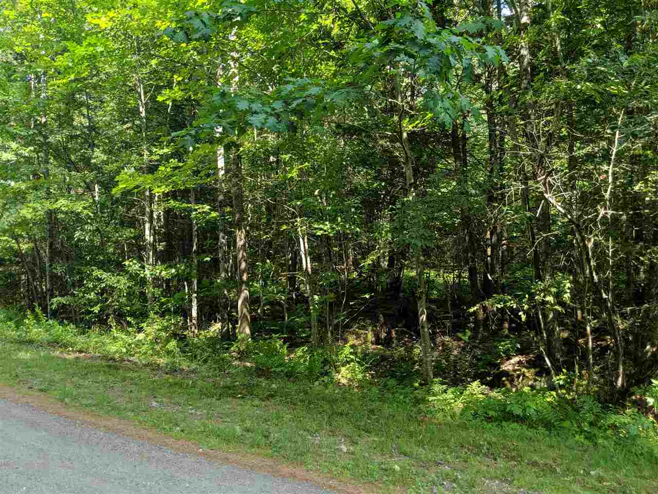Lot 7 Eagles Nest Road Warren, NH 03279 - Photo 4 of 6 Gallery Image 4