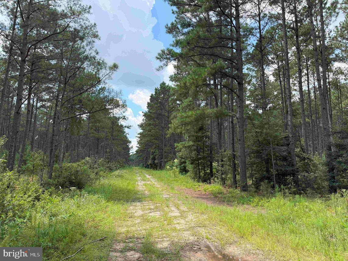 North Liberty Spring Road Suffolk, VA 23434 - Photo 11 of 23