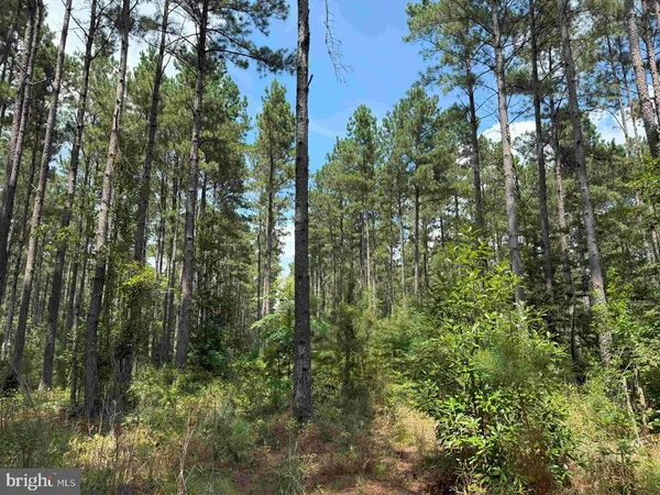 $2,009,448 | North Liberty Spring Road, Suffolk, VA 23434