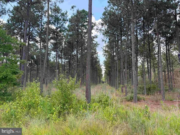 $2,009,448 | North Liberty Spring Road, Suffolk, VA 23434