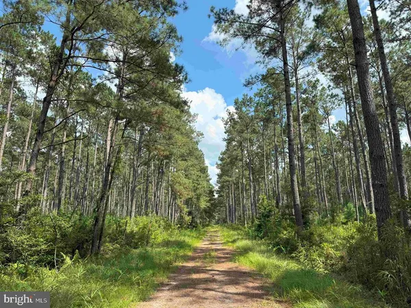 $2,009,448 | North Liberty Spring Road, Suffolk, VA 23434