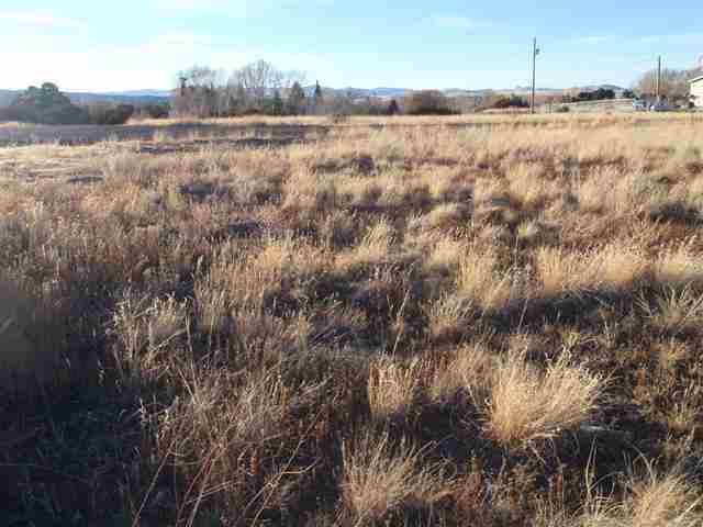 Tbd South Water Canyon Road Eagar, AZ 85925 - Photo 2 of 11