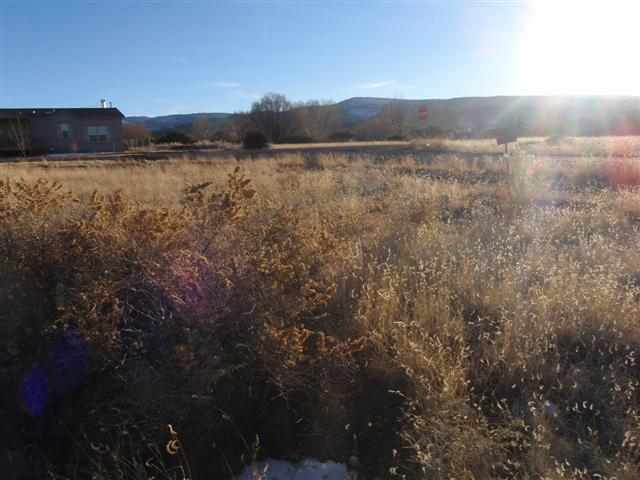 Tbd South Water Canyon Road Eagar, AZ 85925 - Photo 6 of 11
