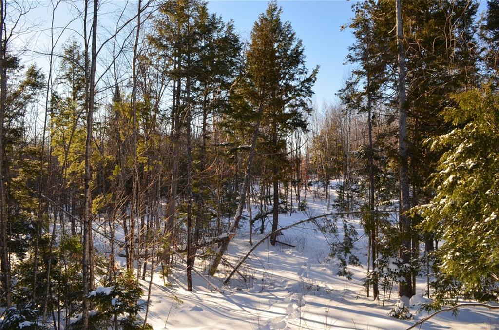16 Mooseberry Lane Springfield, ME 04487 - Photo 15 of 26 Maine Land for Sale
