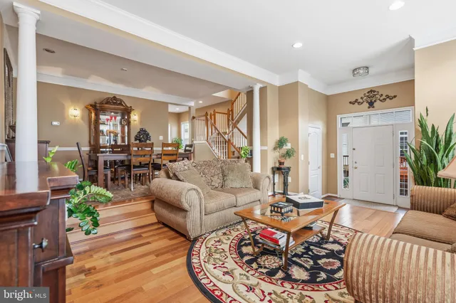 a living room with furniture or couch and a potted plant