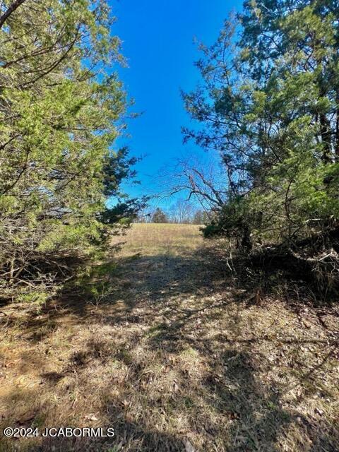 Lot 2 Co Road Holts Summit, MO 65043 - Photo 18 of 23