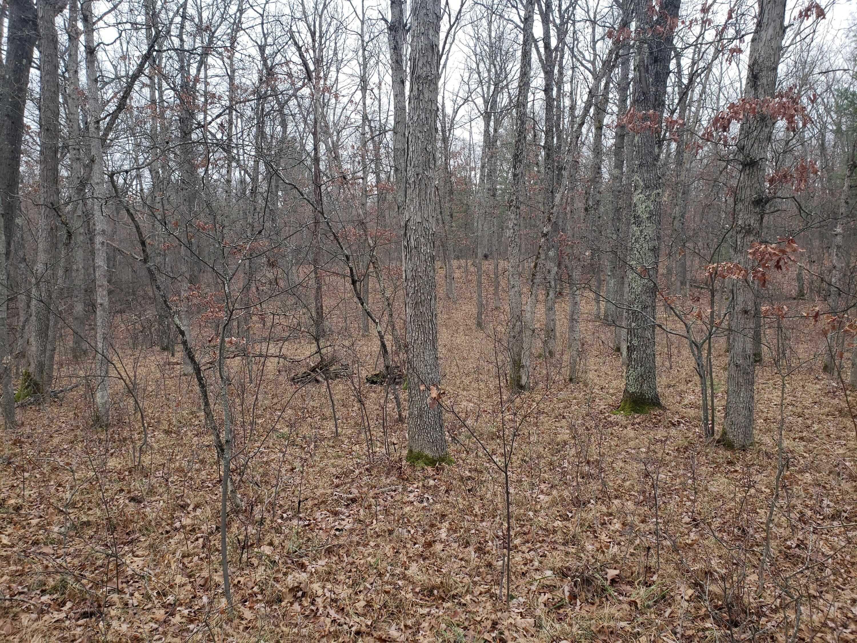 00 North Irons Road Irons, MI 49644 - Photo 3 of 3 LevelLot