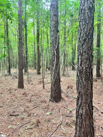 $116,370 | 0 Gold Mine Road, Edgefield, SC 29824
