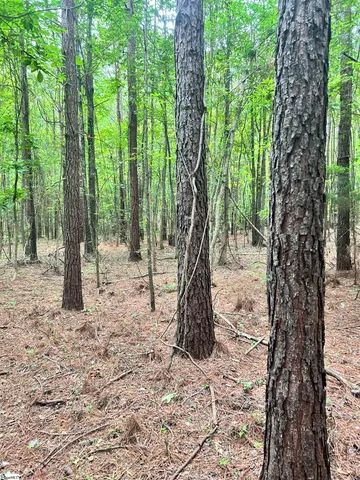 $116,370 | 0 Gold Mine Road, Edgefield, SC 29824