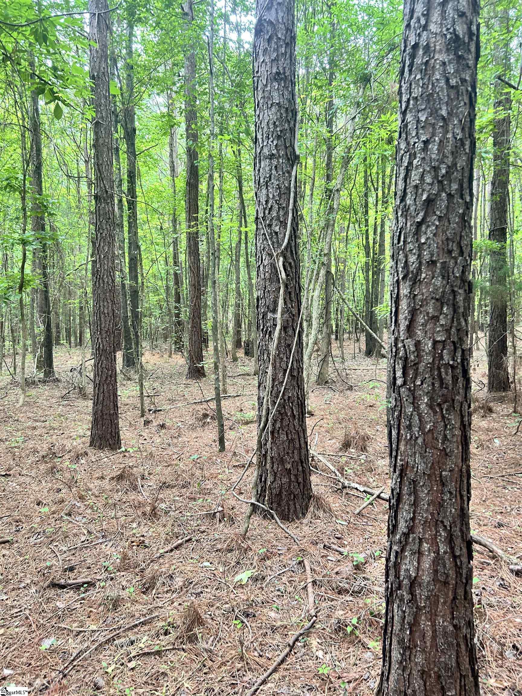 0 Gold Mine Road Edgefield, SC 29824 - Photo 4 of 8