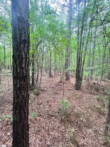 $116,370 | 0 Gold Mine Road, Edgefield, SC 29824