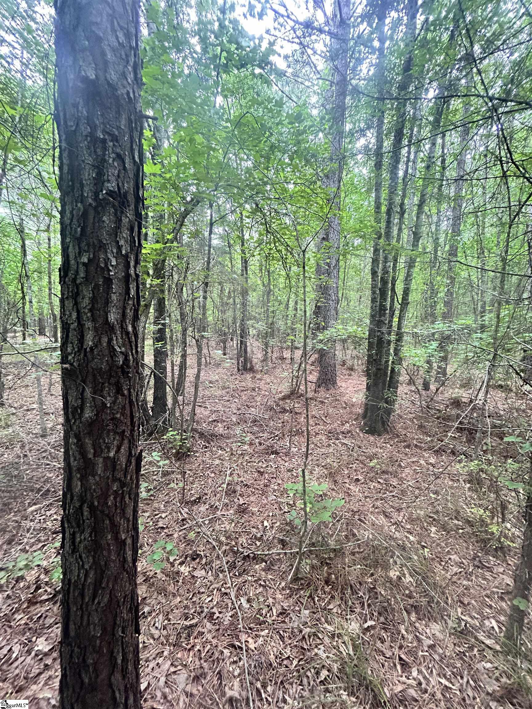 0 Gold Mine Road Edgefield, SC 29824 - Photo 5 of 8