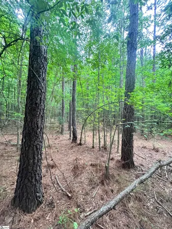 $116,370 | 0 Gold Mine Road, Edgefield, SC 29824