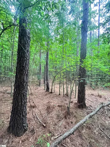 $116,370 | 0 Gold Mine Road, Edgefield, SC 29824