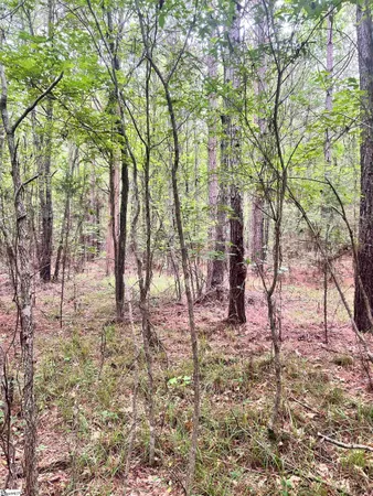 $116,370 | 0 Gold Mine Road, Edgefield, SC 29824