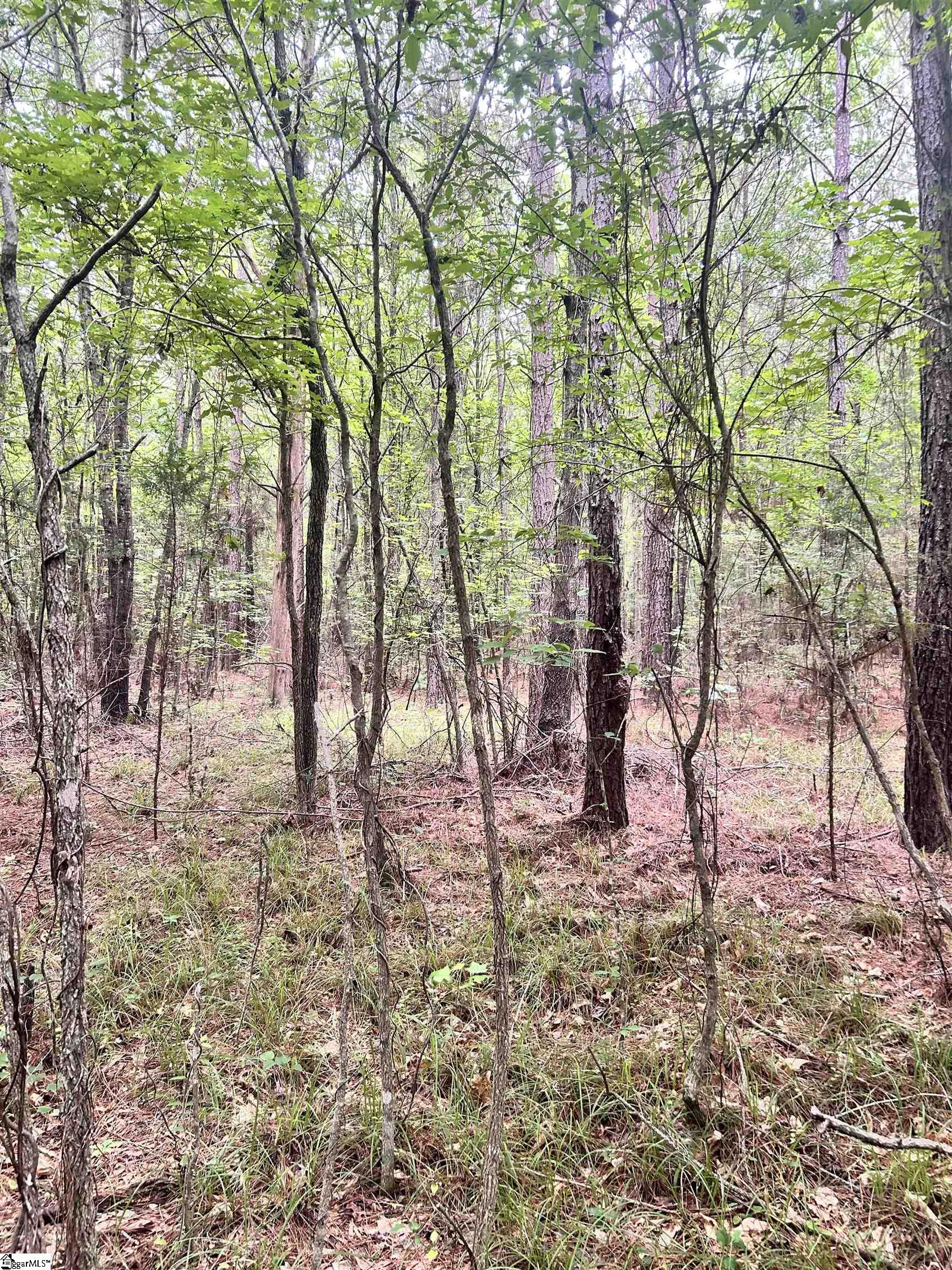 0 Gold Mine Road Edgefield, SC 29824 - Photo 7 of 8