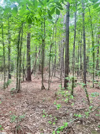 $116,370 | 0 Gold Mine Road, Edgefield, SC 29824