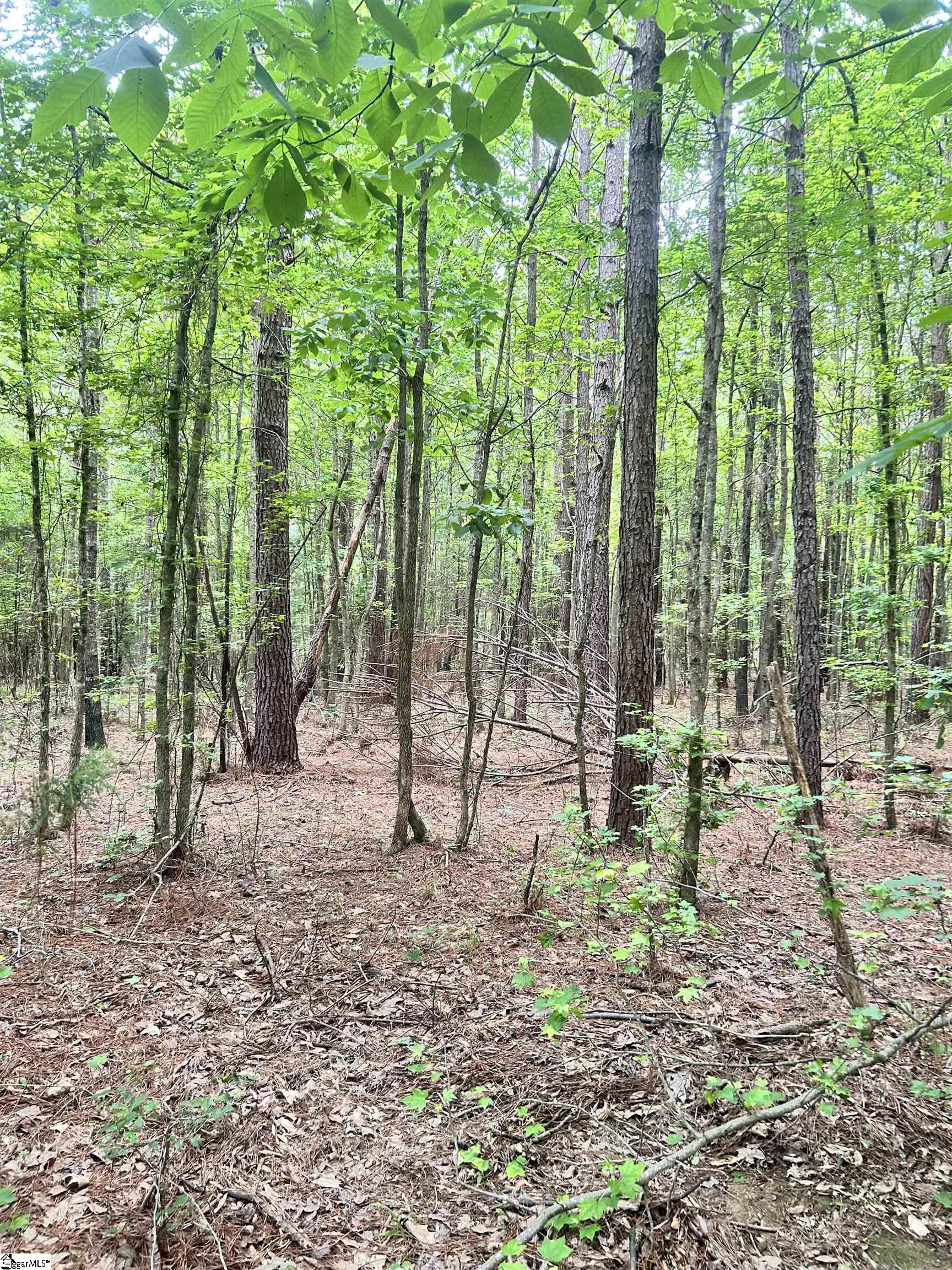 0 Gold Mine Road Edgefield, SC 29824 - Photo 8 of 8