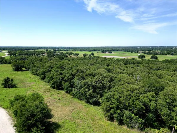 a view of a green field with lots of bushes