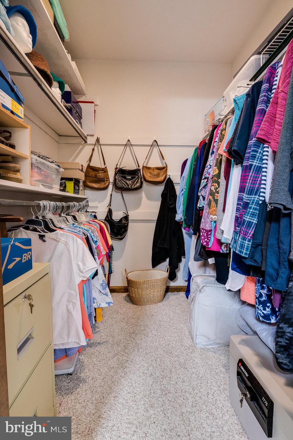 604 West 3rd Avenue Lititz, PA 17543 - Photo 22 of 33 Master walk-in closet