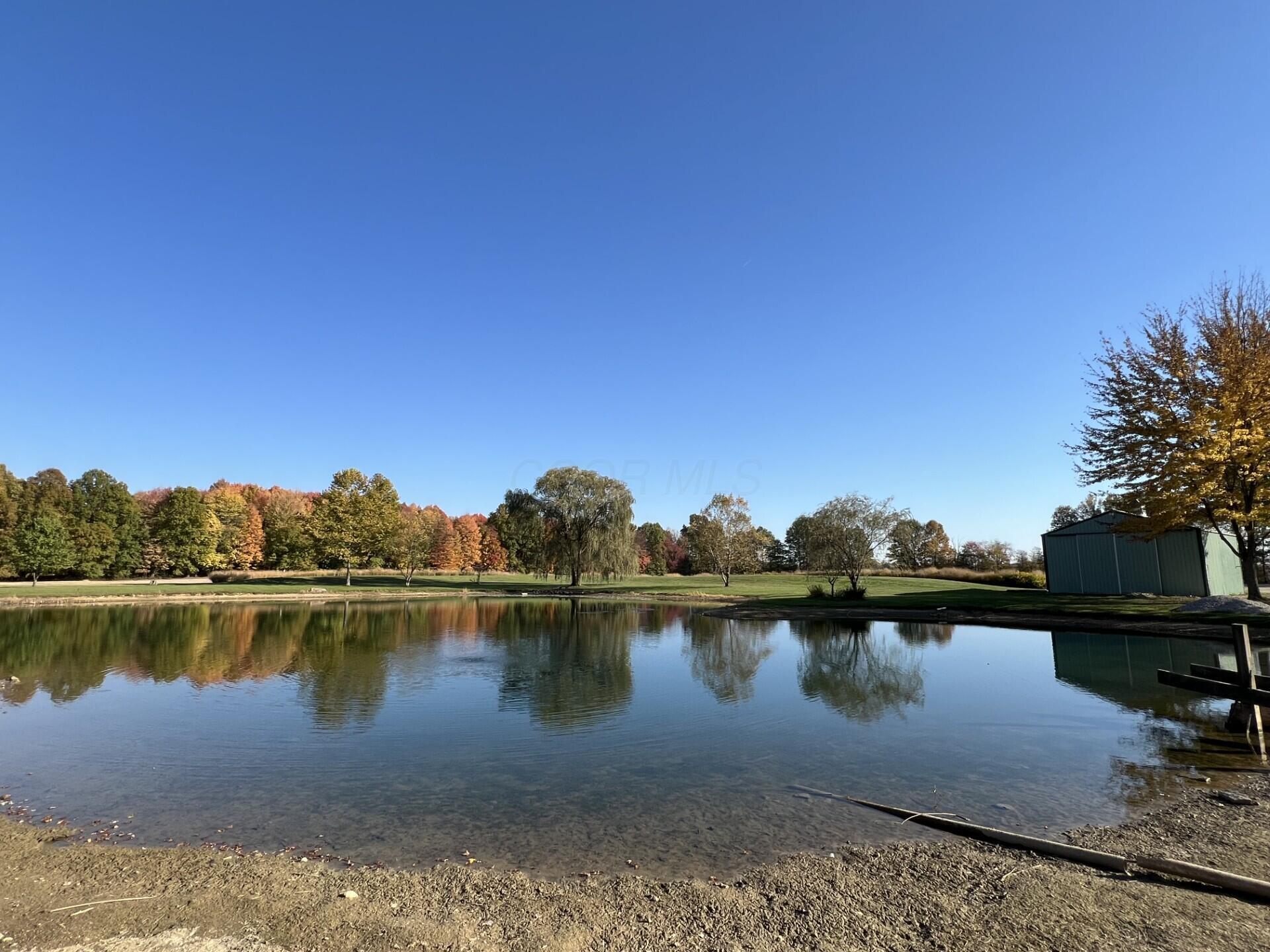 7520 Condit Road Centerburg, OH 43011 - Photo 10 of 14 Condit Rd Pond