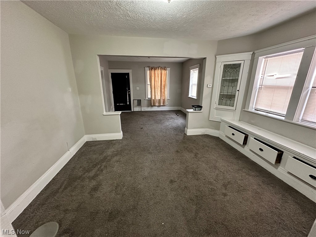 6734 Ottawa Road Cleveland, OH 44105 - Photo 4 of 31 Carpeted empty room featuring a textured ceiling and a healthy amount of sunlight