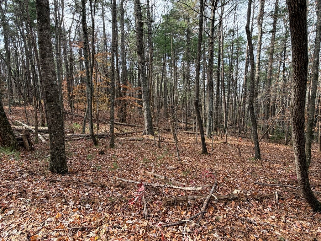 Tbd Caution Tape Road Cana, VA 24317 - Photo 20 of 27 Gallery Image 20
