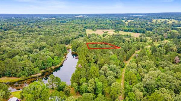 $15,000 | Tbd Golden Grv Street, Trinity, TX 75862
