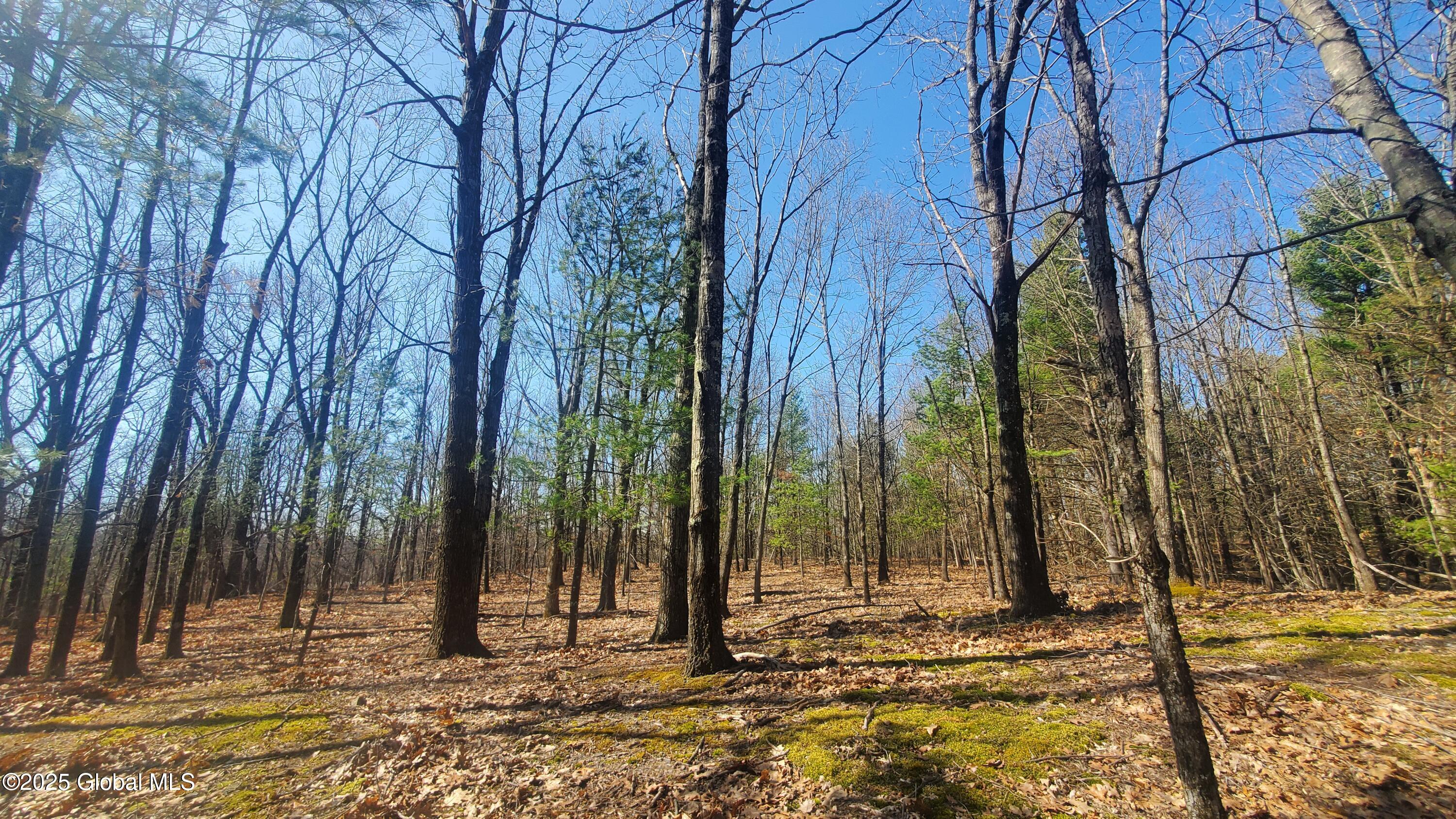 L25 Fischer Road Kinderhook, NY 12106 - Photo 29 of 30 WINTER VIEW