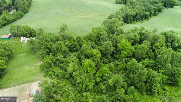 a view of a lush green space